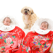 写真館ピノキオ　王子店　お宮参り　写真　一つ身　犬