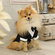 写真館ピノキオ　王子店　ペット　犬　写真　