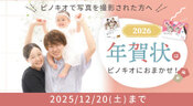 写真館の写真で送る年賀状 12/20まで