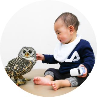 鳥さんと一緒に撮影しよう 写真館ピノキオ コーポレートサイト